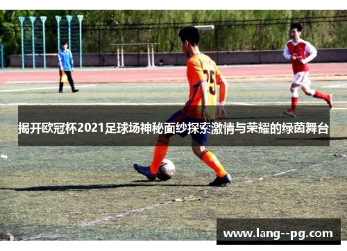 揭开欧冠杯2021足球场神秘面纱探索激情与荣耀的绿茵舞台
