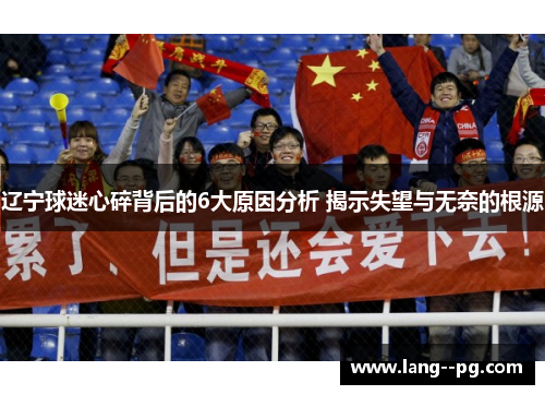 辽宁球迷心碎背后的6大原因分析 揭示失望与无奈的根源